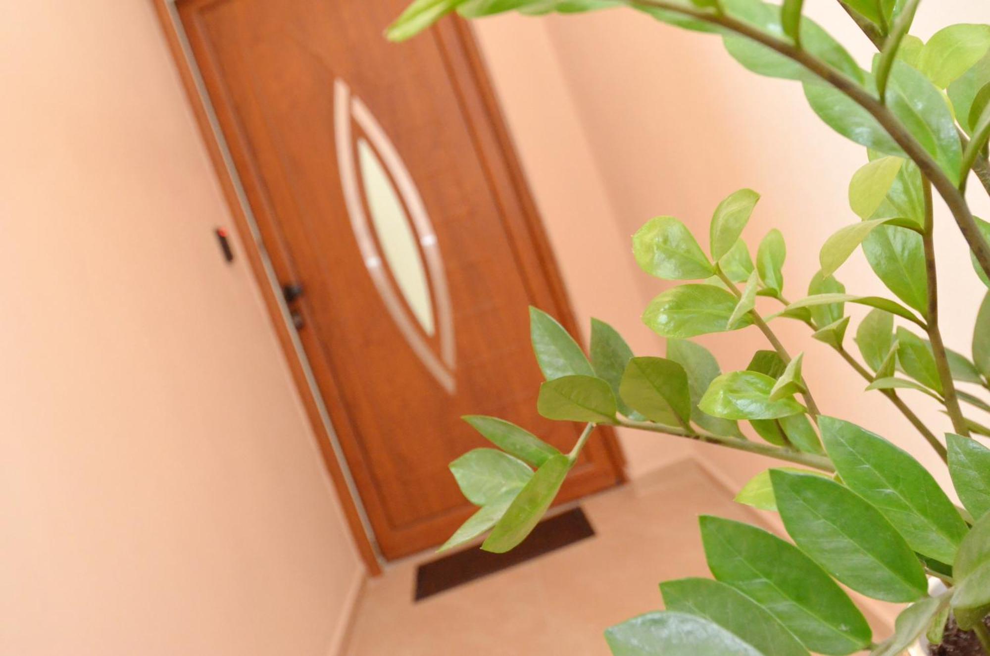 Apartments Jankovic Kotor Rom bilde